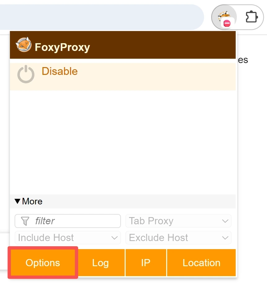 Click FoxyProxy Options in Chrome